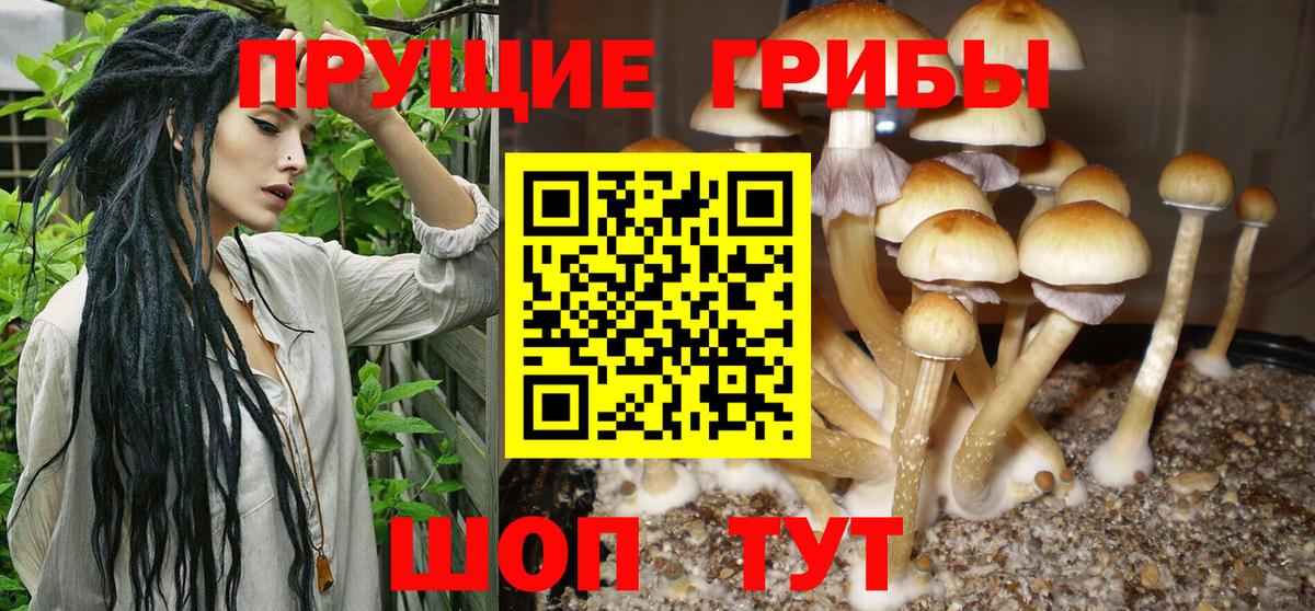 Псилоцибиновые грибы ЛСД Прохладный
