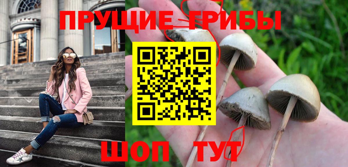 Псилоцибиновые грибы мухоморы  Вход с VPN  Псилоцибиновые грибы Magic Shrooms  Прохладный 